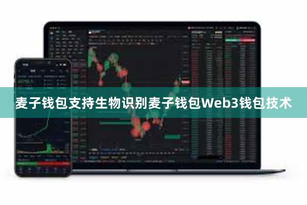 麦子钱包支持生物识别麦子钱包Web3钱包技术