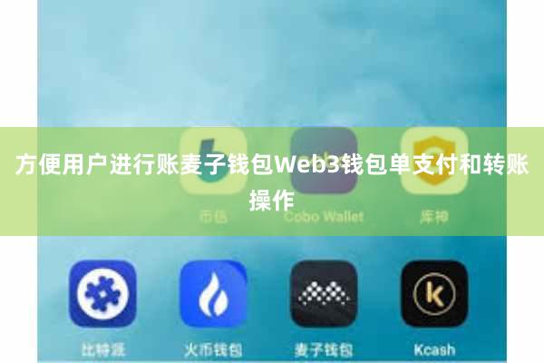 方便用户进行账麦子钱包Web3钱包单支付和转账操作