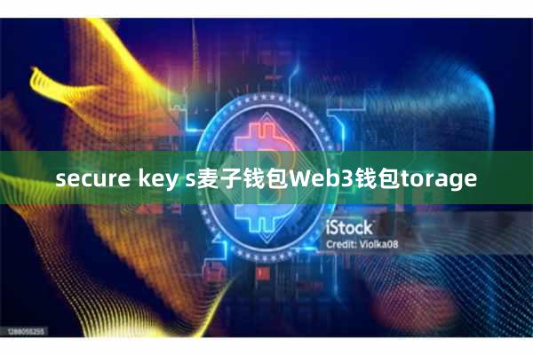 secure key s麦子钱包Web3钱包torage