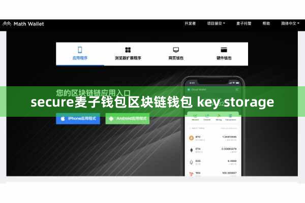 secure麦子钱包区块链钱包 key storage