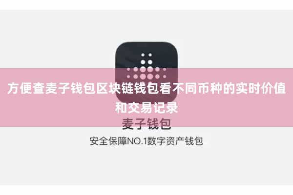 方便查麦子钱包区块链钱包看不同币种的实时价值和交易记录