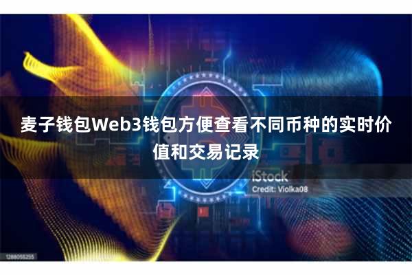 麦子钱包Web3钱包方便查看不同币种的实时价值和交易记录