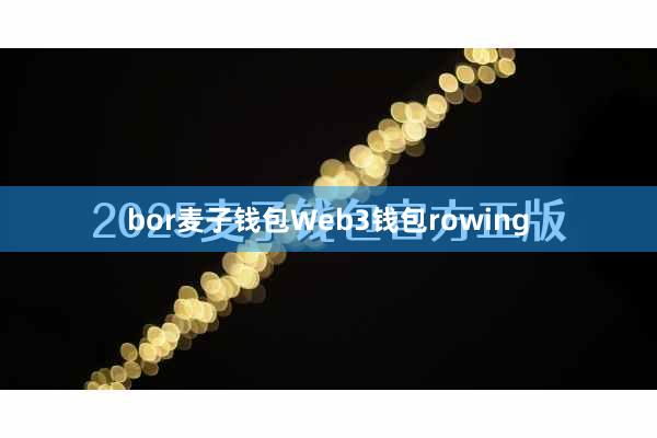 bor麦子钱包Web3钱包rowing