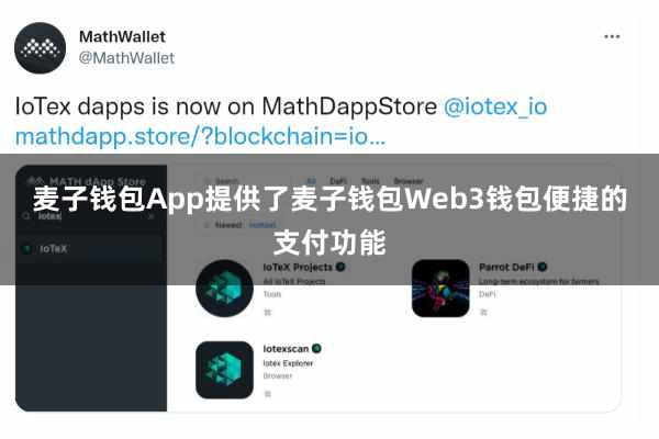 麦子钱包App提供了麦子钱包Web3钱包便捷的支付功能